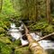 Eighth Creek at the bottom of old logging railroad incline