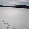 Mabel Lake March 2013