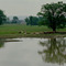 Nottawasaga River