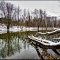 Nottawasaga River