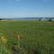 Le fleuve près de Lotbinière