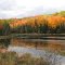 Fall colours by the Monck Road on Highway # 28.