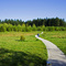Green Timber Park