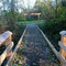 East entrance and board walk Nov 13 2008