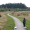 Green Timber Urban Forest,Surrey
