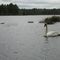 Bark Lake, Orillia, Ontario