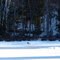 Muskoka