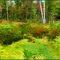 Colours of Muskoka in September - Ontario