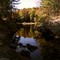 Fall Colours - October 8, 2005