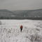 View over Allegheny Mountains from Gravel Pit
