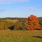 Autumn 2005 near Tidioute, PA
