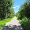 Rail trail between Delhi and Simcoe