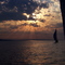 Sunset Racing from Collingwood Harbour