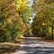 October on sideroad