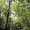 Spring Green