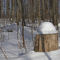 Snow-capped