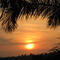ATARDECER 5