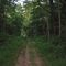 Jacobsburg Environmental Education Center