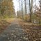 Palmer Rail Trail