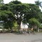 Parque_de_Bolivar_Palmira
