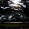 Salida Via Panoramica