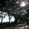 Via Buga-Cali