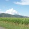 Paisaje del Valle del río Cauca