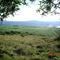 Vista del Valle