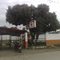 Fanaticos Club