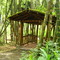 Parque Nacional del Cafe