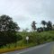Bajando para La Paila Valle
