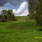 Paisaje. Entrerríos Ant.