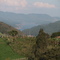 Finca