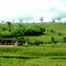 Finca-Farm