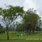 Parque Bosque el Prado - Manizales