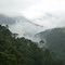 bosque de La CHEC bajo la lluvia