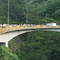 Viaducto Pericos