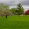 nature in muncie