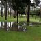 parque Bosque de San Carlos