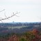 Spartanburg's Advantica Building (Home of Denny's) from Thicketty Mtn.
