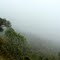 Paramo