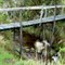 Rustico Puente