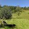 Los Andes colombianos: Las Tierras frias