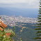 Bucaramanga