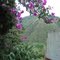 Old House in Bucaramanga