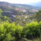 Norte de Bucaramanga
