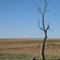 facing north