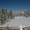 Winter wonderland