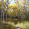 West Mag 10-5-2005 - Aspen Grove Near YMCA Camp 1