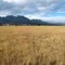 Flatirons from the Prairie Vista Trail